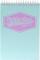 Pukka Wirebound Card Cover Reporters Shorthand Notebook Ruled 160 Pages Pastel Blue/Pink/Mint (Pack 3)