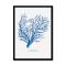 Coral Print | Marine Blue Coral No 1 - Framed