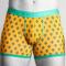 Bamboo Boxers - Cactus