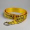 Petals & Peacocks Handle With Care Belt Colour: Yellow