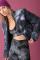 Electric & Rose Puffer Bomber Jacket as seen on Chloe Meadows Size: M Colour: Black