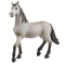 Schleich Pura Raza Española Young Horse 13924