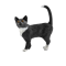 Schleich Sort Kat - 13770
