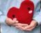 Bitten Design Huggable Loving Heart Colour: Red