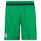 adidas FC Schalke 04 3rd Kit Shorts - Green