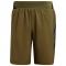 adidas Terrex Parley Agravic All-Around 5" Shorts - Green