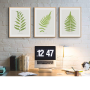 Set of Three Vintage Fern Prints | Group 5 | Botanical Wall Art - Framed