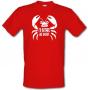 I`d Rather Be Shiny male t-shirt.
