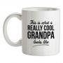 This is what a really cool Grandpa looks like mug.