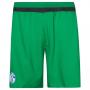 adidas FC Schalke 04 3rd Kit Shorts - Green