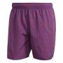 adidas Swimming Check CLX Swim Shorts - Red/Blue