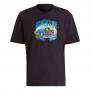 adidas Originals ADV Adventure Chameleon Tee - Black