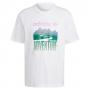 adidas Originals ADV Adventure Mountain Logo Tee - White